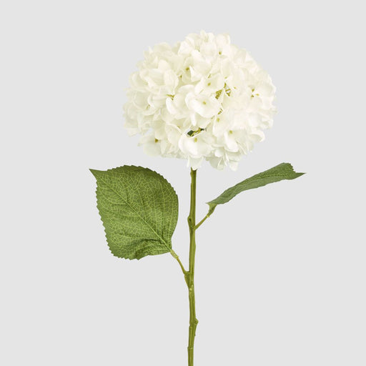 Claire Hydrangea Stem White 66cm - Pack of 12
