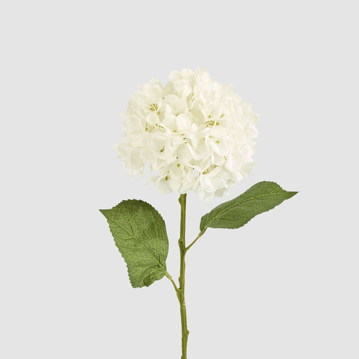 Claire Hydrangea Stem White 66cm - Pack of 12
