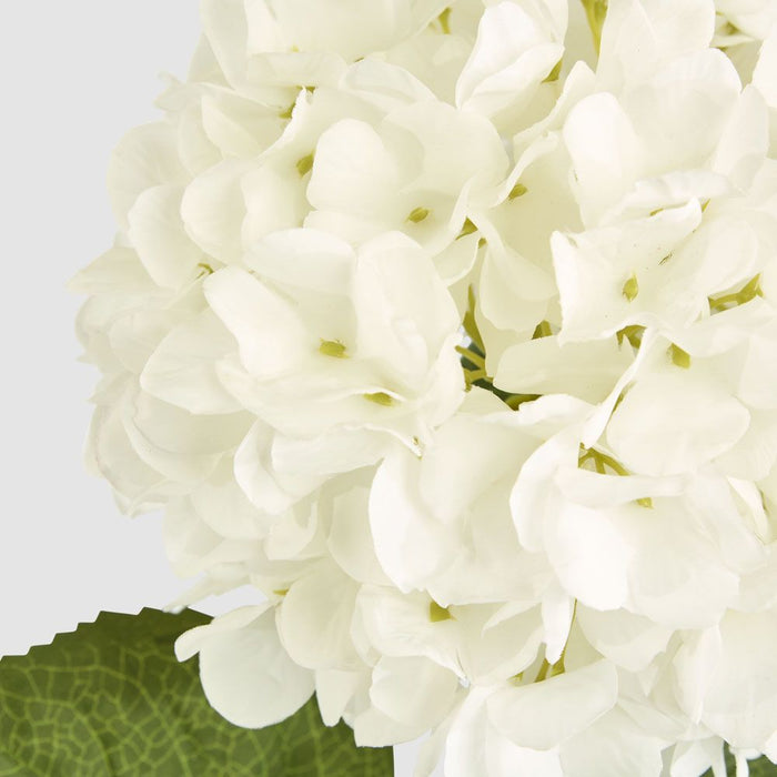 Claire Hydrangea Stem White 66cm - Pack of 12