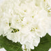 Yasmin Hydrangea Bunch White 46cm - Pack of 12