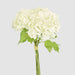 Mini Hydrangea Posy White 28cm - Pack of 12