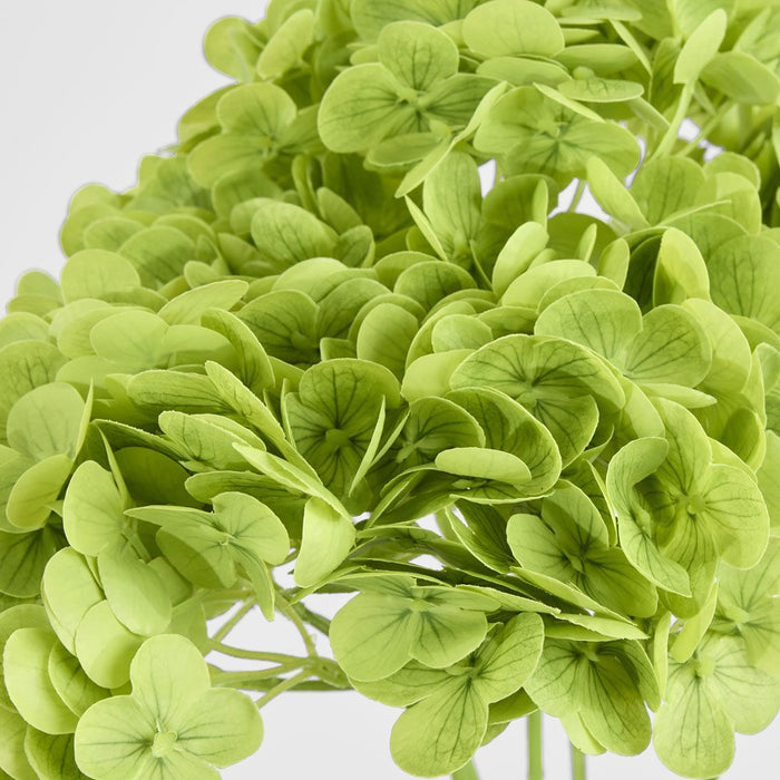 Real Touch Hydrangea 5 Head Bunch Green 50cm - Pack of 12