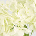 Real Touch Hydrangea 5 Head Bunch White 50cm - Pack of 12