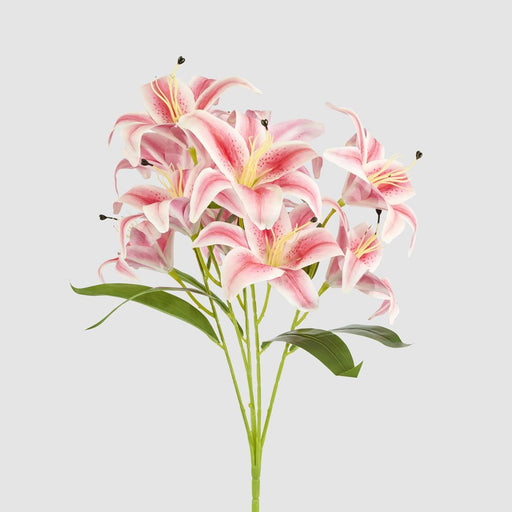 Casablanca Lily Bunch Pink 60cm - Pack of 12