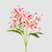 Casablanca Lily Bunch Pink 60cm - Pack of 12