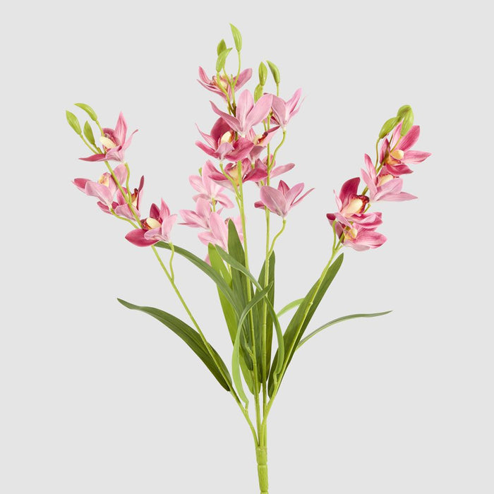 Cymbidium Spray With Leaves Dark Pink 58cm - Pack of 12