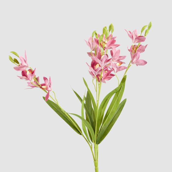 Cymbidium Spray With Leaves Dark Pink 58cm - Pack of 12