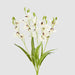 Cymbidium Spray With Leaves White 58cm - Pack of 12