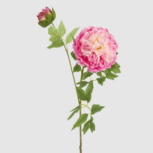 Leafy Peony Flower Stem Fuchsia 72cm - Pack of 12