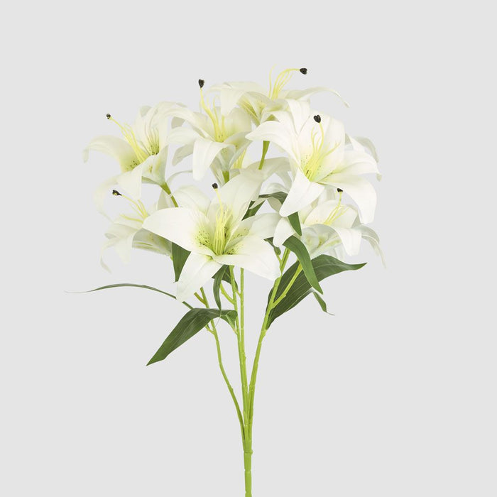 Casablanca Lily Bunch White 60cm - Pack of 12