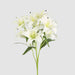 Casablanca Lily Bunch White 60cm - Pack of 12