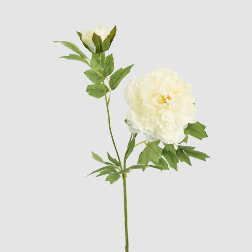 Leafy Peony Flower Stem White 72cm - Pack of 12