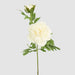 Leafy Peony Flower Stem White 72cm - Pack of 12