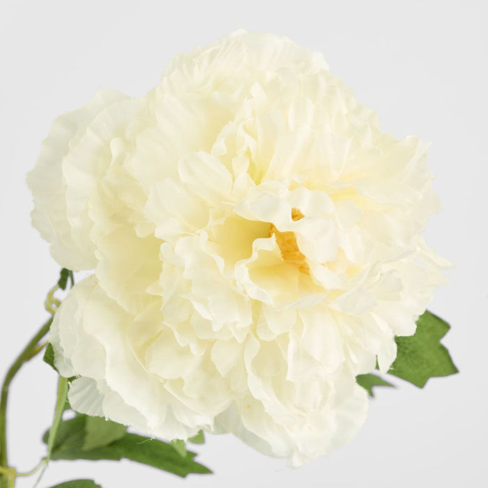 Leafy Peony Flower Stem White 72cm - Pack of 12