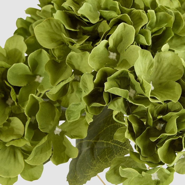 Hydrangea Bunch With 5 Heads Green 42cm - Pack of 12