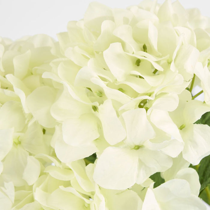 Large Hydrangea Bunch White 57cm - Pack of 12
