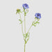Double Head Cornflower Blue 71cm - Pack of 12