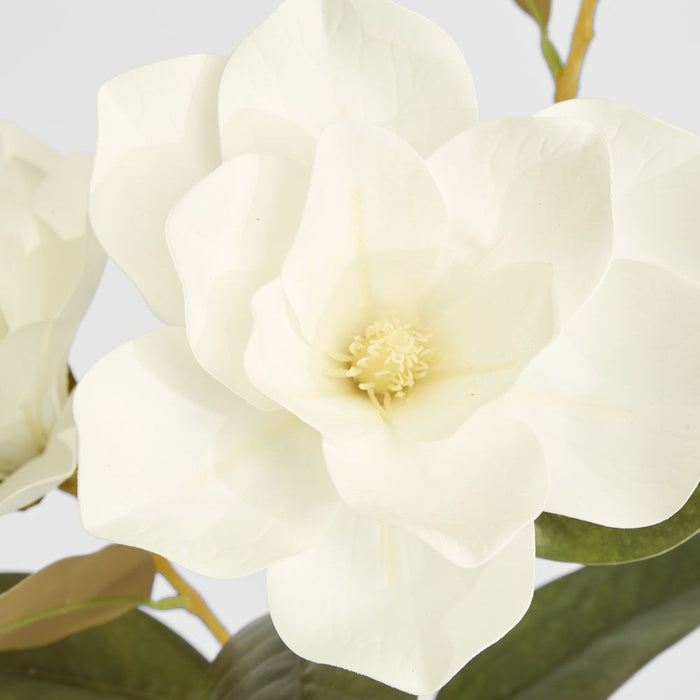 Gloriosa Magnolia Floral Spray White 77cm - Pack of 12