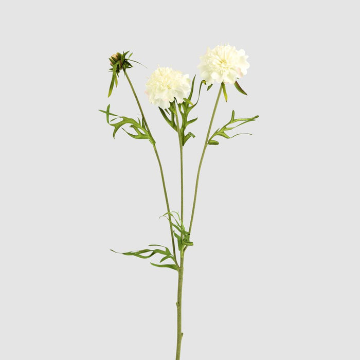 Double Head Cornflower White 71cm - Pack of 12