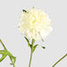 Double Head Cornflower White 71cm - Pack of 12