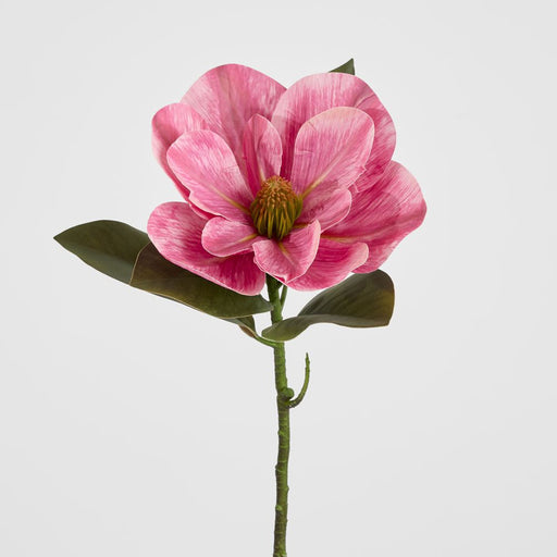 Gloriosa Magnolia Floral Stem Pink 60cm - Pack of 12