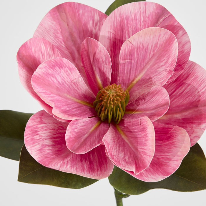 Gloriosa Magnolia Floral Stem Pink 60cm - Pack of 12