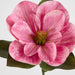Gloriosa Magnolia Floral Stem Pink 60cm - Pack of 12