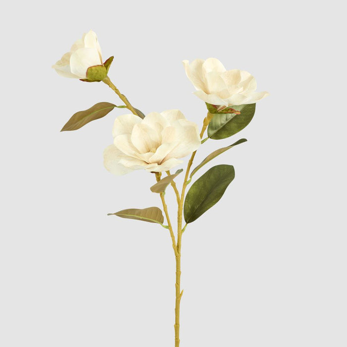 Gloriosa Magnolia Floral Spray Light Brown 77cm Off white - Pack of 12