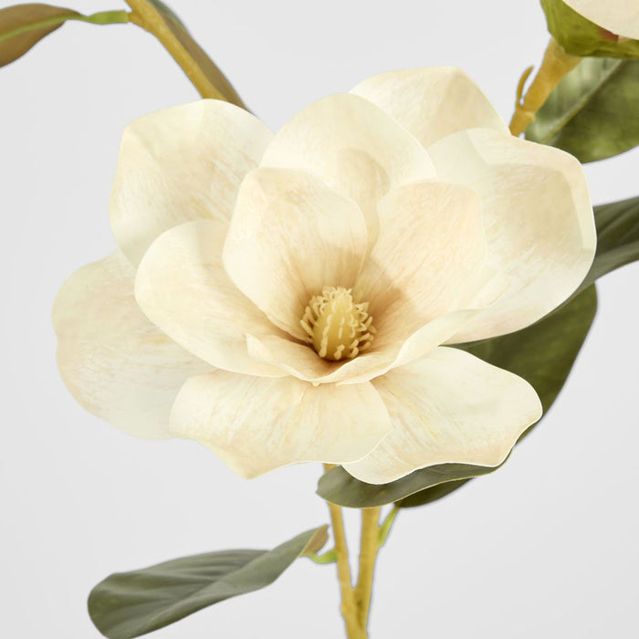 Gloriosa Magnolia Floral Spray Light Brown 77cm Off white - Pack of 12