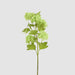 Snowball Spray Green 74cm - Pack of 12
