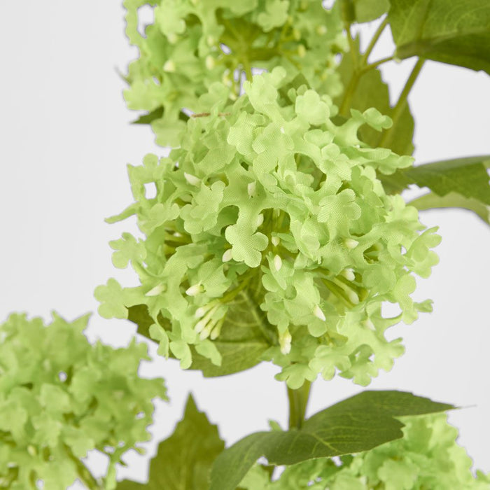 Snowball Spray Green 74cm - Pack of 12