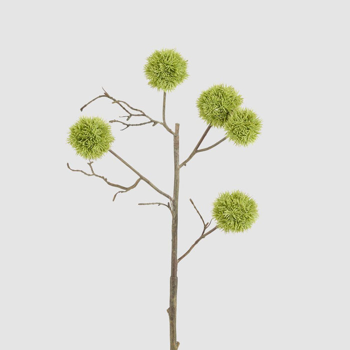 Thistle Globe Spray 80cm Green - Pack of 12