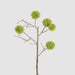 Thistle Globe Spray 80cm Green - Pack of 12