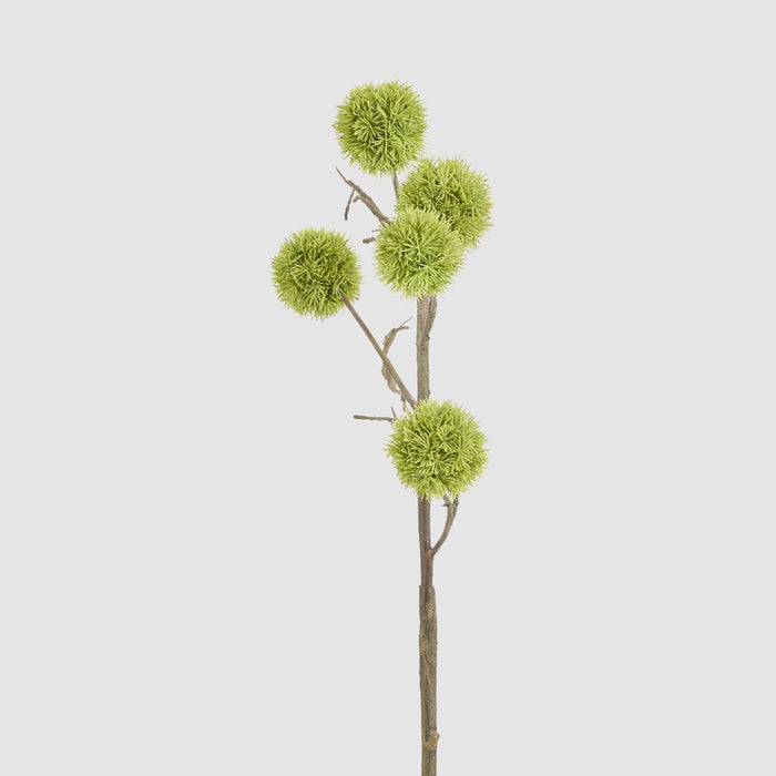 Thistle Globe Spray 80cm Green - Pack of 12