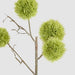 Thistle Globe Spray 80cm Green - Pack of 12