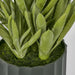 Potted Aloe Leaves Lge 37.5cm Green - Pack of 2