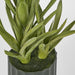 Potted Aloe Leaves Sml 30cm Green - Pack of 2