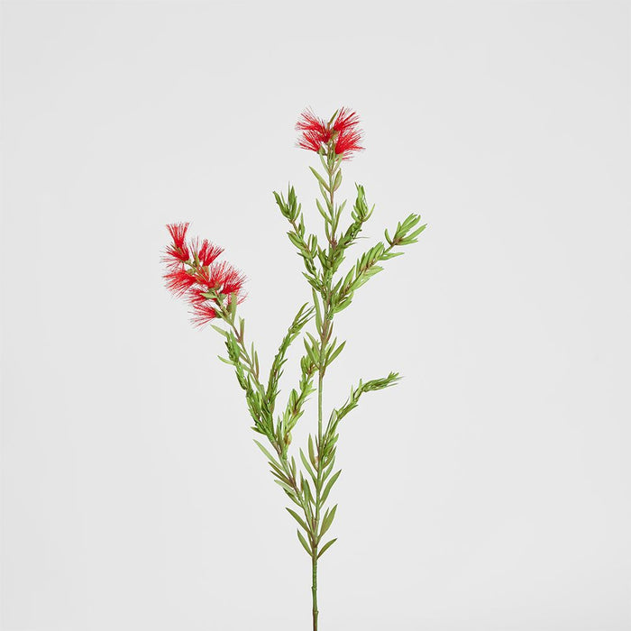 Bottle Brush Spray 84cm Red - Pack of 12