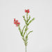 Bottle Brush Spray 84cm Red - Pack of 12