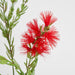 Bottle Brush Spray 84cm Red - Pack of 12