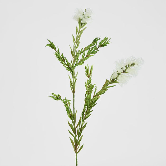 Bottle Brush Spray 84cm White - Pack of 12
