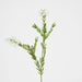Bottle Brush Spray 84cm White - Pack of 12