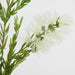 Bottle Brush Spray 84cm White - Pack of 12