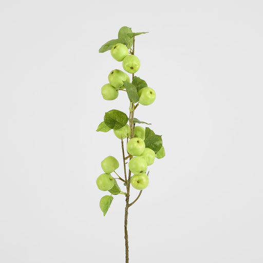 Wild Crab Apple Stem Green 80cm - Pack of 12