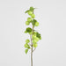 Wild Crab Apple Stem Green 80cm - Pack of 12
