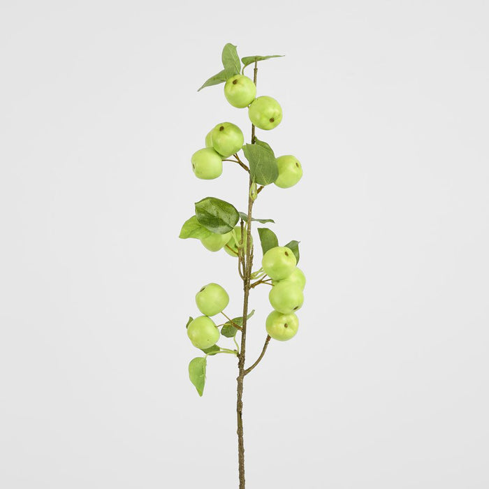 Wild Crab Apple Stem Green 80cm - Pack of 12
