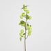 Wild Crab Apple Stem Green 80cm - Pack of 12