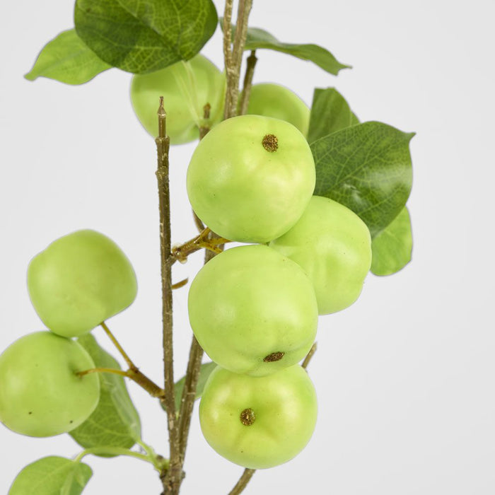 Wild Crab Apple Stem Green 80cm - Pack of 12