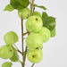 Wild Crab Apple Stem Green 80cm - Pack of 12