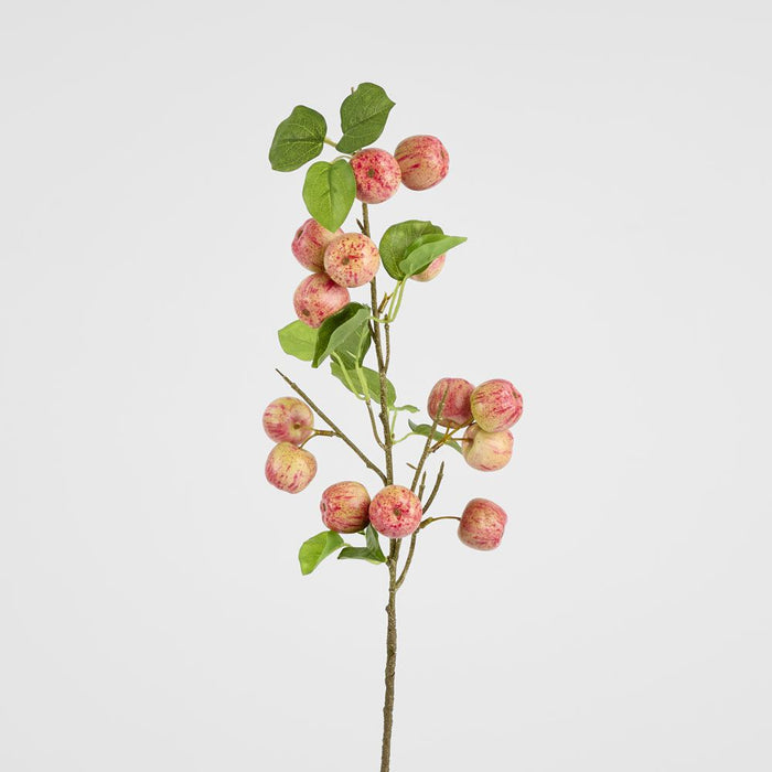 Wild Crab Apple Stem Red 80cm - Pack of 12